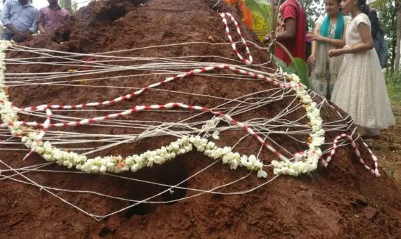 Nagara Panchami Festival.