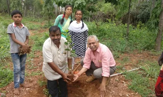 PLANTATION
